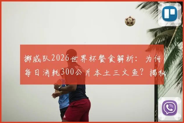 挪威队2026世界杯餐食解析:为何每日消耗300公斤本土三文鱼?揭秘北欧运动营养学与食材供应链