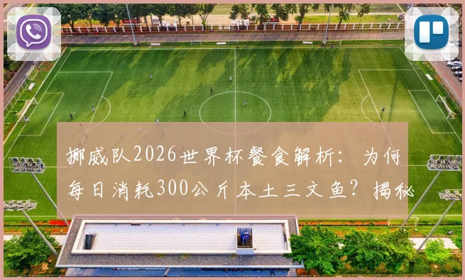 挪威队2026世界杯餐食解析：为何每日消耗300公斤本土三文鱼？揭秘北欧运动营养学与食材供应链